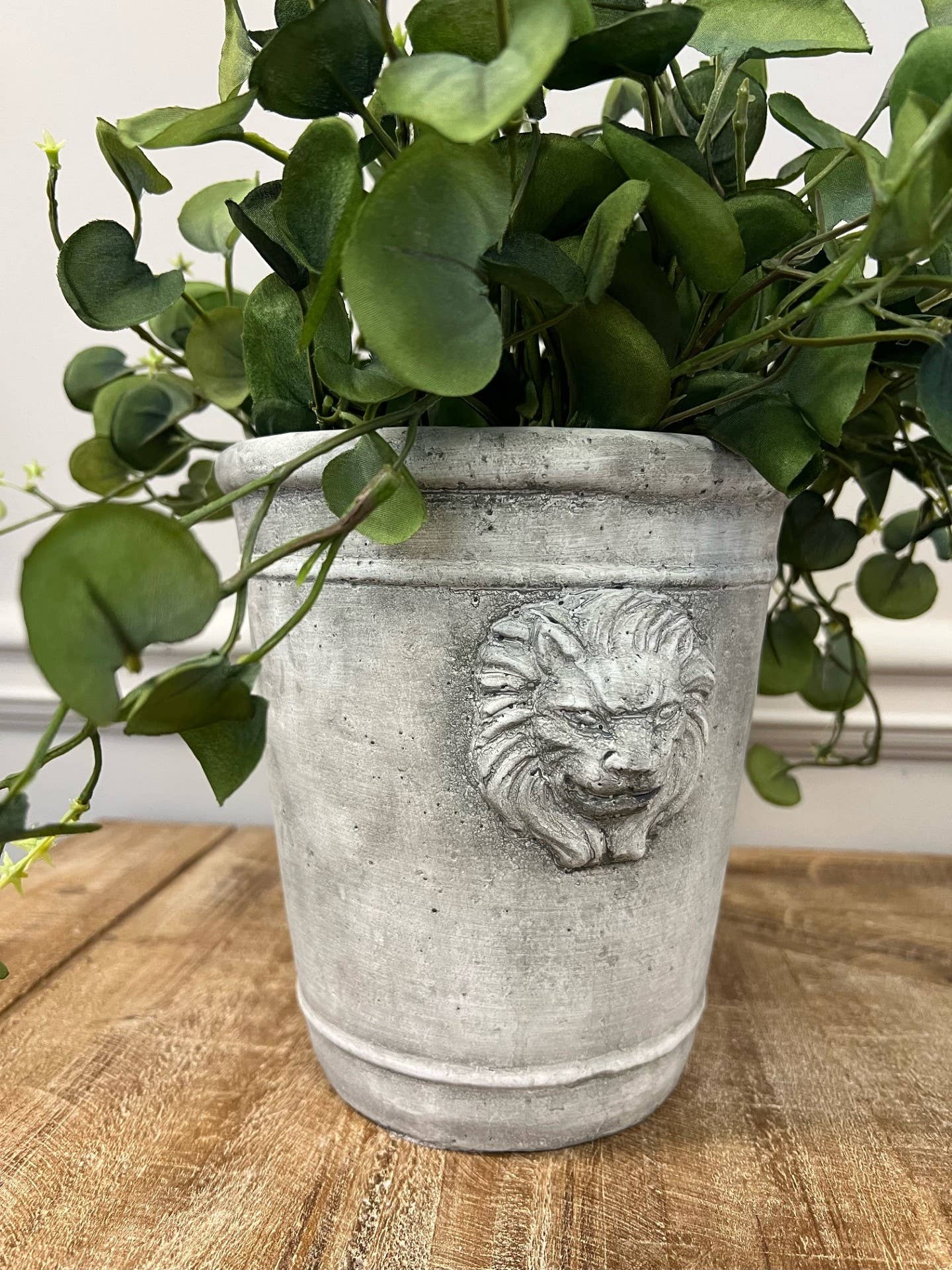 lion plant pot Cement Lion Planter: Medium – MARAIS Home & Garden