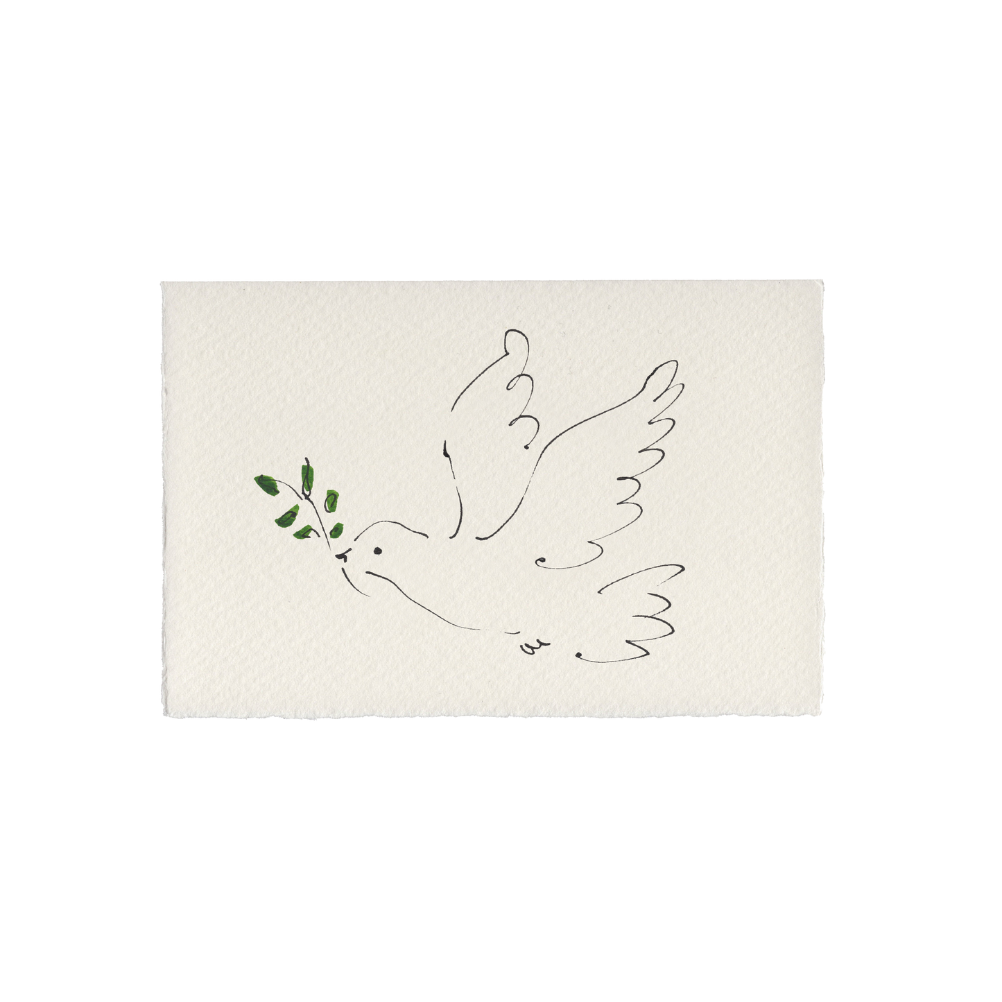 Dove Greetings Card (for charities MSF & Save the Children): Off-White