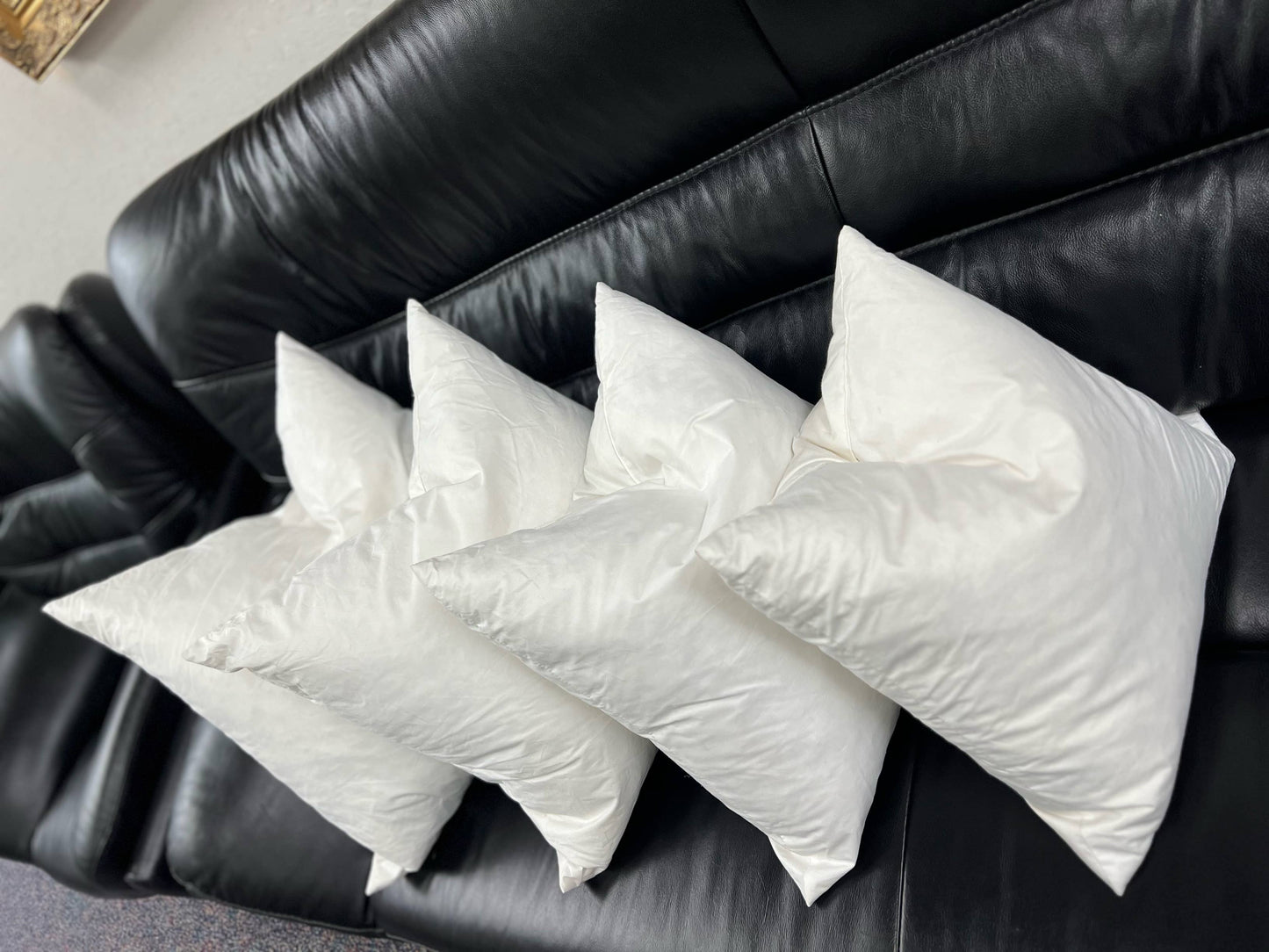 Down Feather Decorative Pillow Inserts - Square: 18X18"