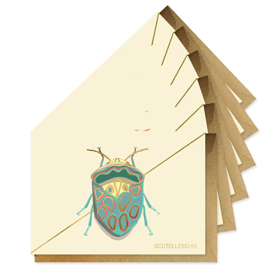 Teal Beetle Stationery Boxed Set Of 6 Cards