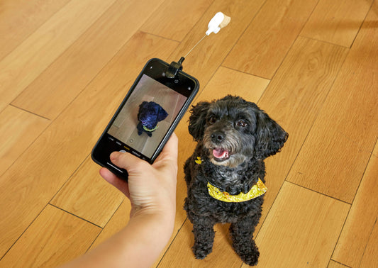 Dog Treat Selfie Clip