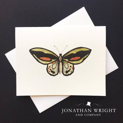 Papillon Exotique Card
