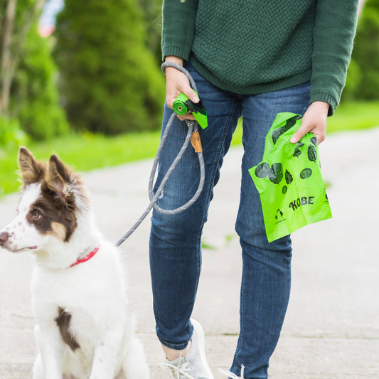 Eco-Friendly Doggy Bags