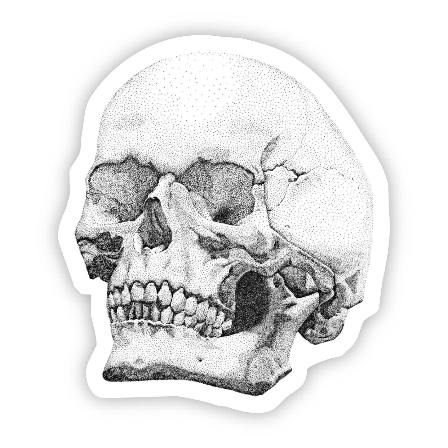 Skull Sticker (Black and White)