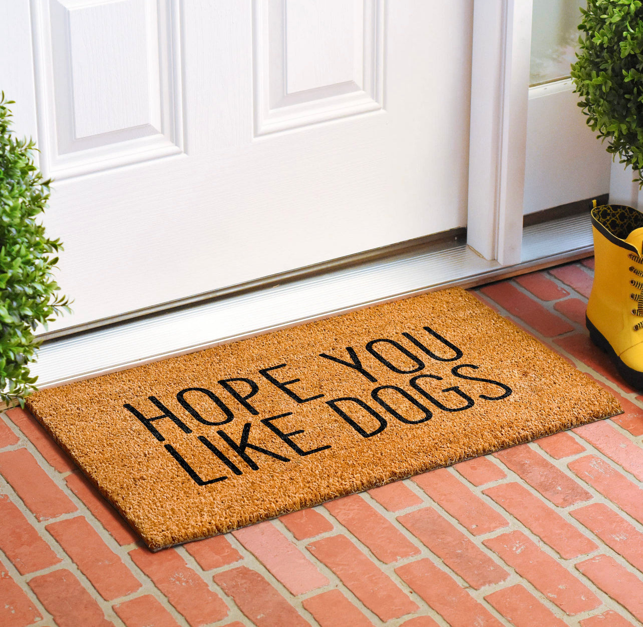 Hope you like Dogs  Doormat