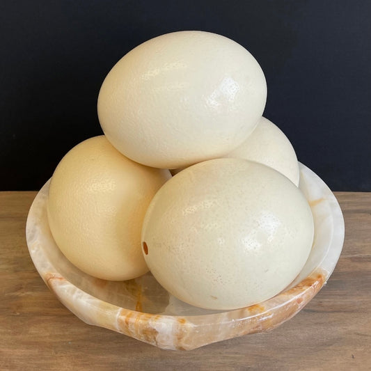 Ostrich Egg